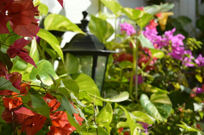 Casa Mary Hotel Cartagena Ngoại thất bức ảnh